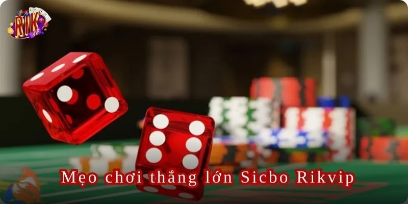 Tập trung vào các cược có tỷ lệ thắng cao để tối ưu hóa kết quả