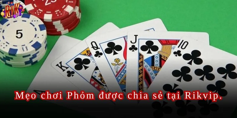 Mẹo chơi Phỏm được các cao thủ chia sẻ chi tiết tại Rikvip.